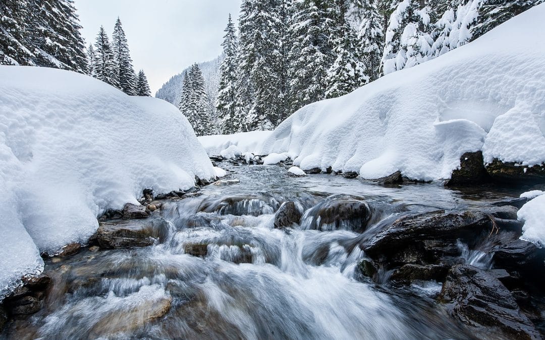 Stressvrije Feestdagen: Tips voor een Ontspannen Seizoen