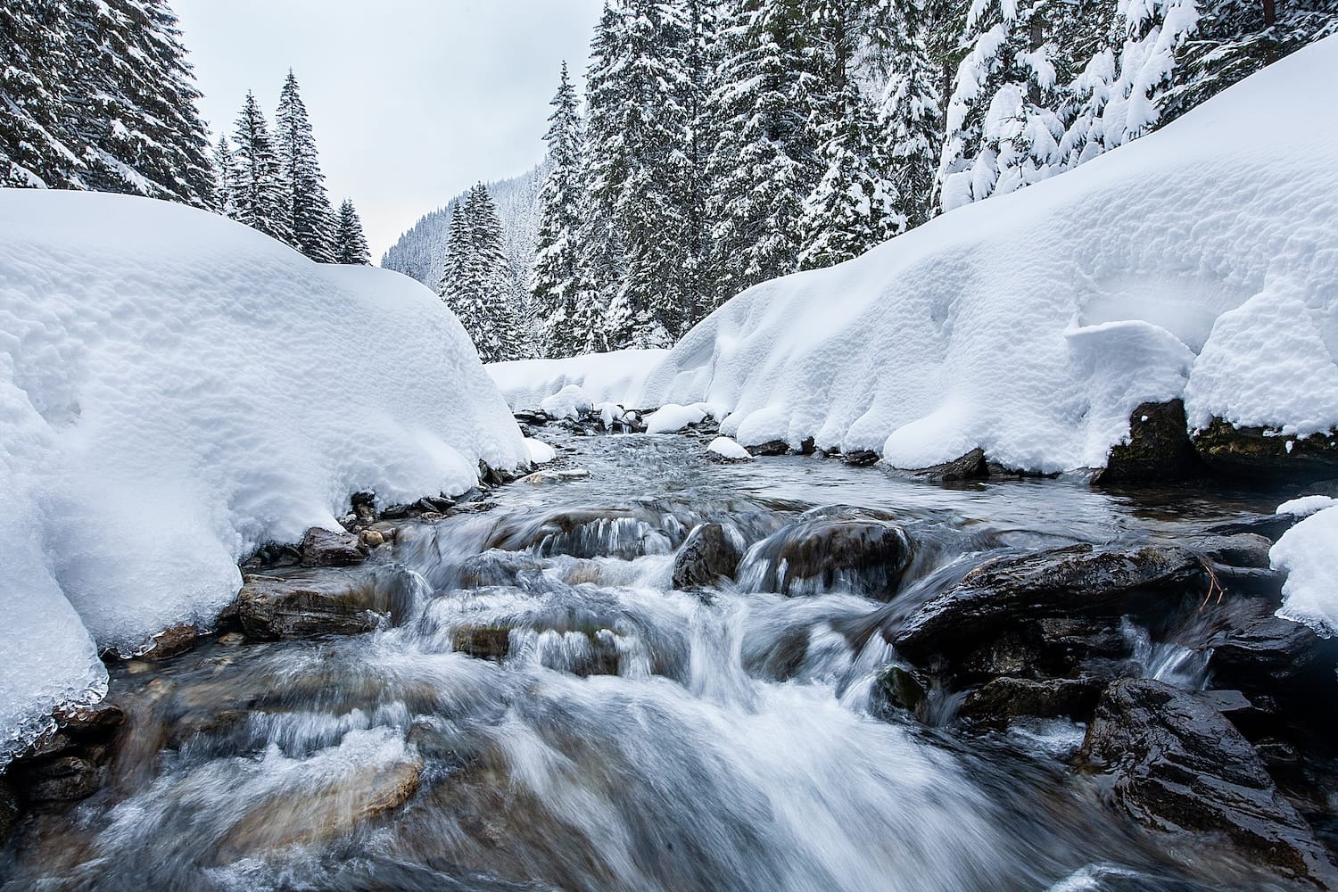 Turbulent river rapids in pictoresque forest during winter