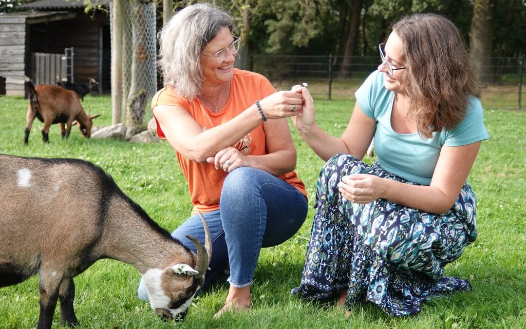 Hoogsensitief & overweldigd door verwachtingen