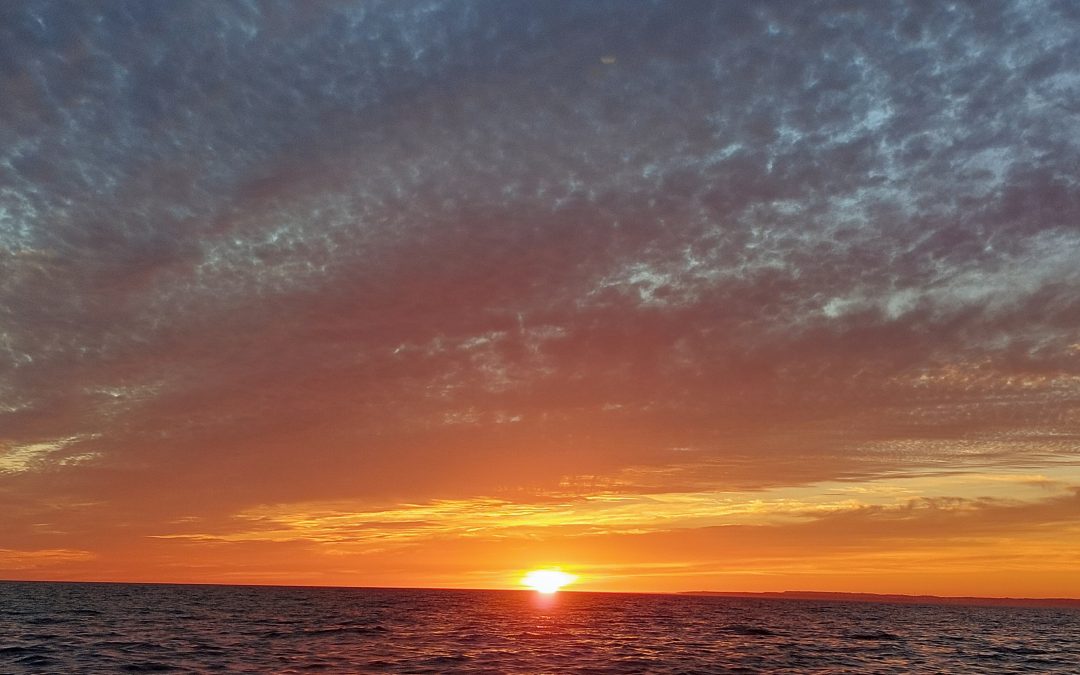 De kracht van loslaten: Een reis naar puur genieten